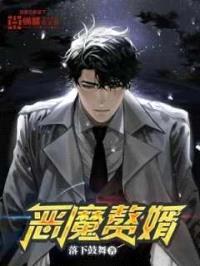 恶魔赘婿封面