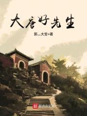 大唐好先生封面