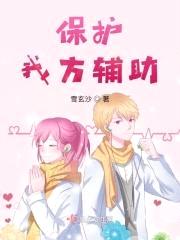 保护我方辅助封面