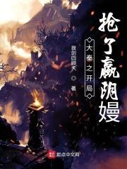 大秦之开局抢了嬴阴嫚封面