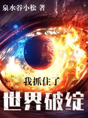 我抓住了世界破绽封面