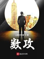 数攻封面