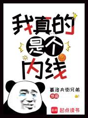 我真的是个内线封面