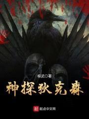 神探狄克森封面