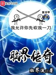 脑界传奇封面