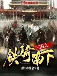 三国之铁骑南下封面