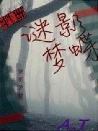 谜影梦蝶封面