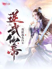 逆武仙帝封面