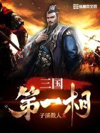 三国第一相封面