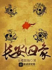 长安四象封面