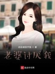 老婆讨厌我封面