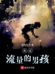 失去流量的男孩封面