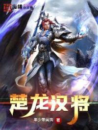 楚龙汉将封面