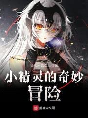 小精灵的奇妙冒险封面