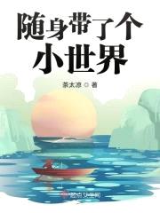 随身带了个小世界封面