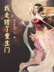 我走错了重生门封面