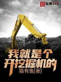 我就是个开挖掘机的封面