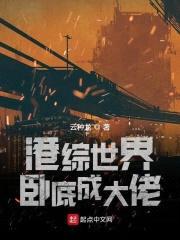 港岛影视卧底封面