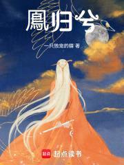鳯归兮封面