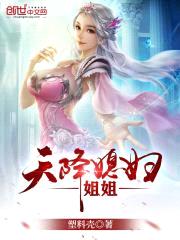 天降仙子jiejie封面