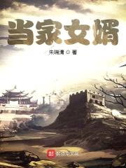 当家女婿封面