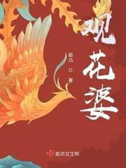 观花婆封面