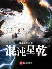 混沌星乾封面