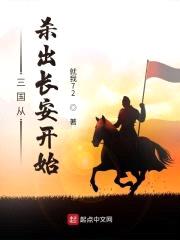 三国从杀出长安开始封面