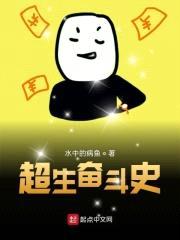 超生奋斗史封面