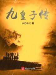 九皇子传封面