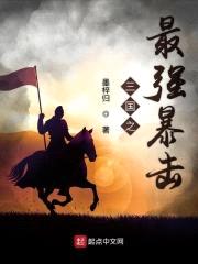 三国之最强暴击封面