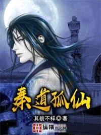 秦道孤仙封面
