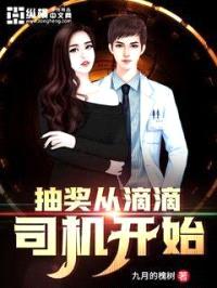 抽奖从滴滴司机开始封面