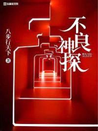 不良神探封面