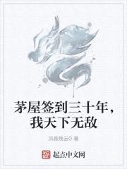 茅屋签到三十年，我天下无敌封面