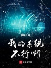 我的系统不行啊封面