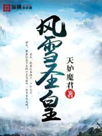 风雪圣皇封面