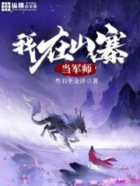 我在山寨当军师封面