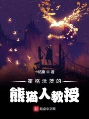 霍格沃茨的熊猫人教授封面