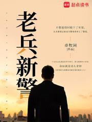 老兵新警封面