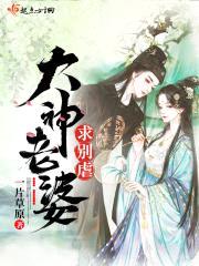 大神老婆求别虐封面