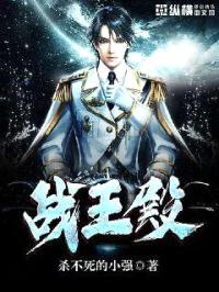 战王殿封面