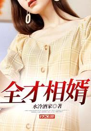 全才相婿封面