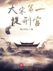 大宋第一提刑官封面