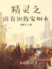 精灵之培育训练家桐木封面