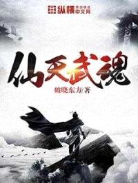 仙天武魂封面
