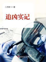 追凶实记封面