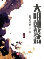 大明朝赘婿封面