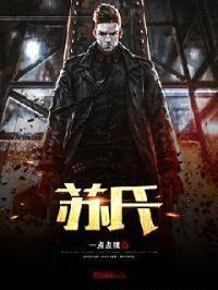 苏氏少帅封面