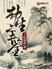 劫生宝鉴封面
